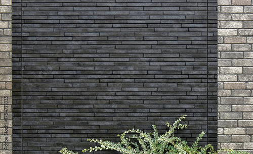 外壁と植物の背景素材