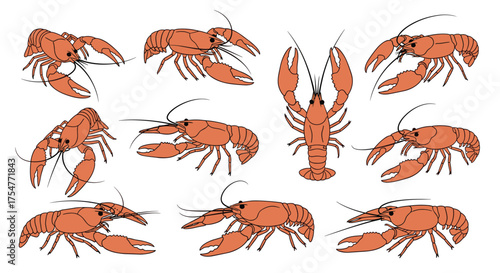 A collection of diverse illustrations showcasing lobsters in various dynamic poses and orientations.
