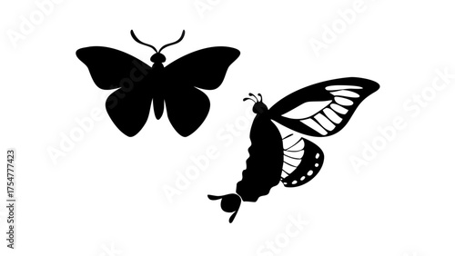 Two black butterfly silhouettes with different wing patterns on a white background art design