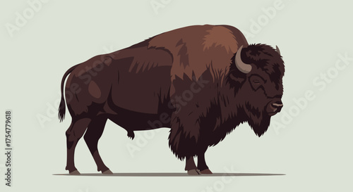 A majestic bison stands tall with its impressive horns and thick fur on a plain background.