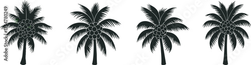 Palm tree silhouettes, tropical coconut icons, black and white nature graphics, exotic beach foliage, vector tree illustrations, isolated botanical elements, summer design