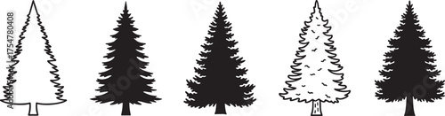 Stylized pine tree silhouettes, forest vector illustration, evergreen nature graphic, winter tree design, textured conifer shapes, minimalist landscape art, black and white drawing