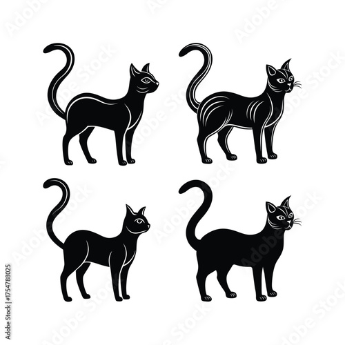 Black and white silhouette standing cat