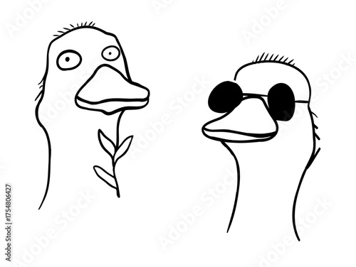 Two quirky cartoon ducks with different expressions, showcasing a playful vibe, perfect for children's art or humorous content in a lighthearted setting. Coloring page