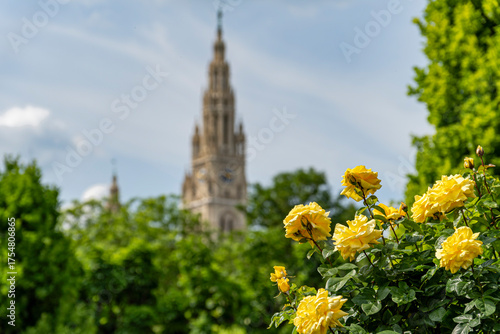 Vibrant Yellow Roses with Blurred Historic Tower on a Sunny Day in Vienna