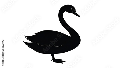 Fototapeta Naklejka Na Ścianę i Meble -  Silhouette of a swan