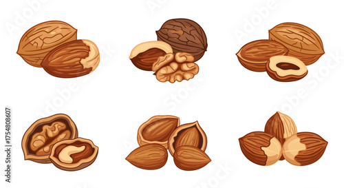 A diverse collection of shelled and unshelled nuts including walnuts hazelnuts almonds and brazil nuts.