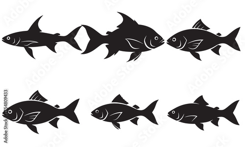 A Silhouette Collection of Freshwater Fish, Featuring a Variety of Fin Shapes and Sizes in Black and White