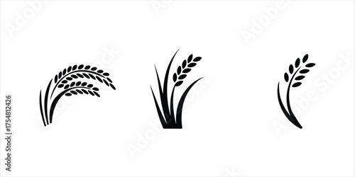 Wheat silhouette vector icon set on white background, three icon wheat vector black color.