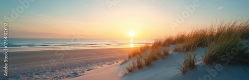 Dune grass sways at ocean sandy beach in sunrise light. Calm sea water waves in horizon, soft sky. Scenic nature at sand coastline perfect for chill