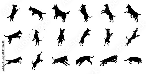 Dog silhouettes in various jumping poses playing action