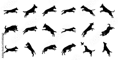 Dog silhouettes in motion jumping running
