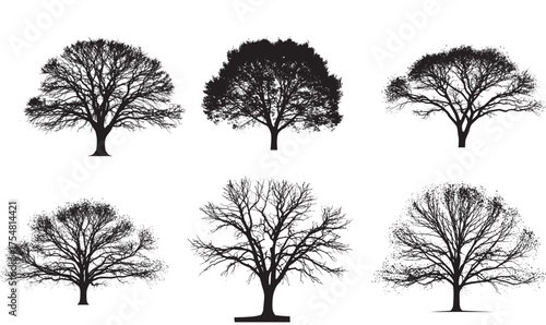 Six Silhouette Trees Displayed Against a White Background Featuring Different Shapes and Branch Structures Creating a Natural Aesthetic