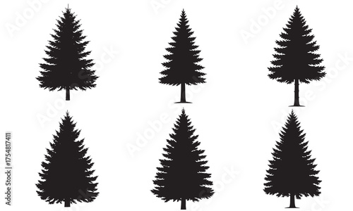 Silhouette Collection of Evergreen Trees Featuring Different Species and Shapes Against a White Backdrop Ideal for Design Projects