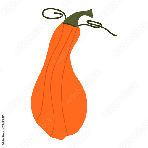 Pumkins Vector Illustration