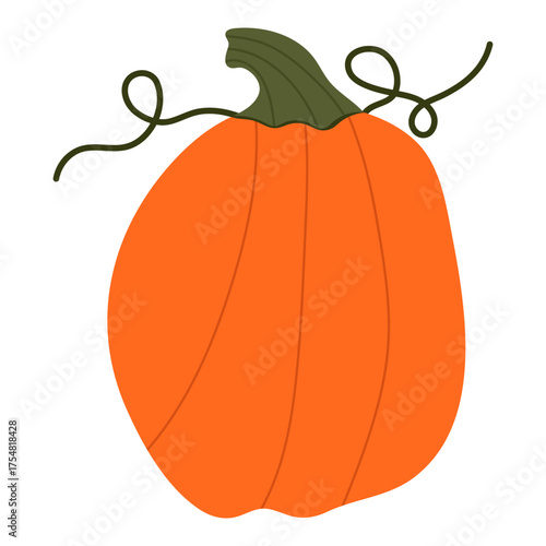 Pumkins Vector Illustration