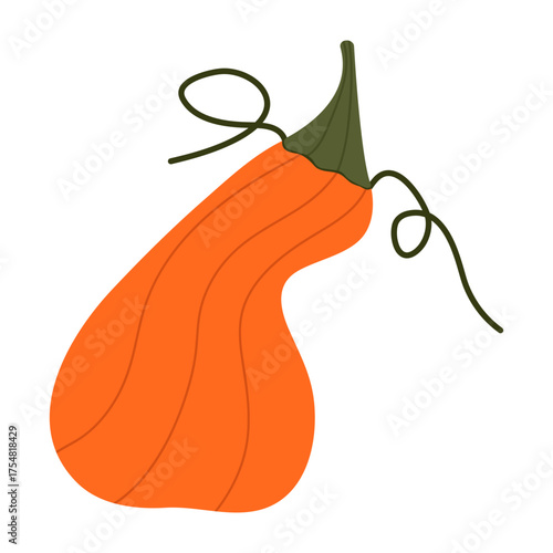 Pumkins Vector Illustration