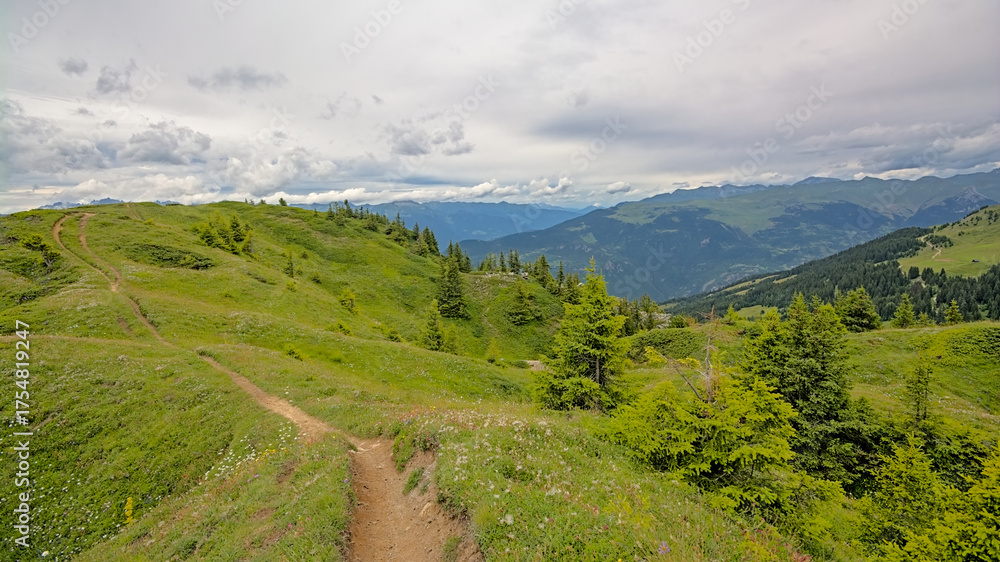 Fototapeta premium Hiking trail through a green mountain meadows in the French Alps.