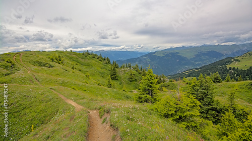 Hiking trail through a green mountain meadows in the French Alps.
