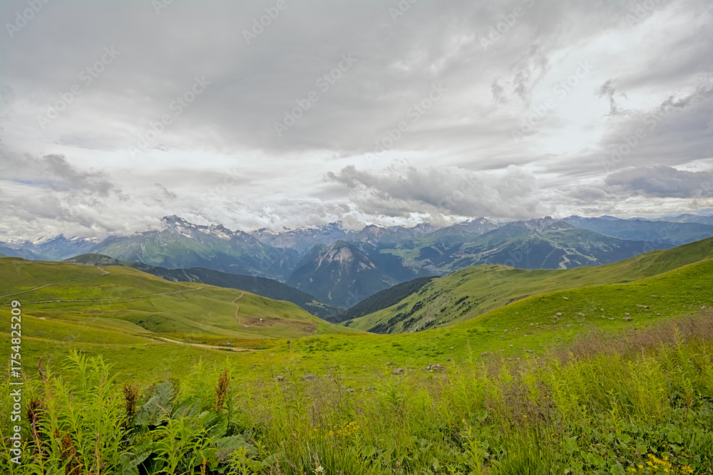 Naklejka premium mountain landscape with green meadow and granite peaks with glaciers under a cloudy sky in La Vanoise nature reserve, Savoie, France 