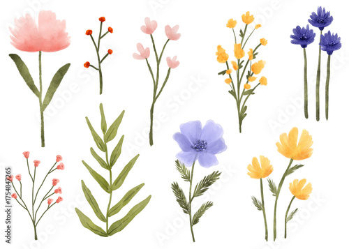 Whimsical Watercolor Floral and Botanical Elements Collection