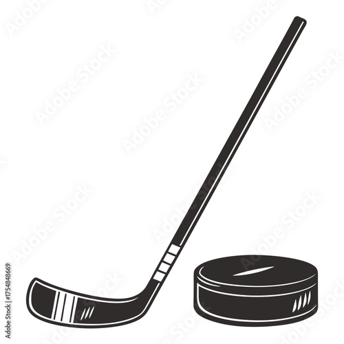 Hockey stick and puck for sport equipment