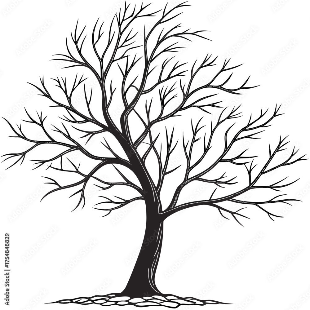 Obraz premium Silhouette of a bare tree