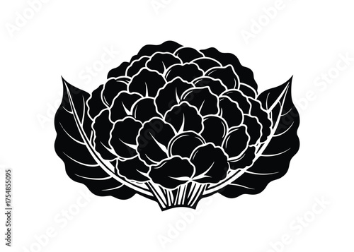 fresh cauliflower with leaves of black silhouette vactor image