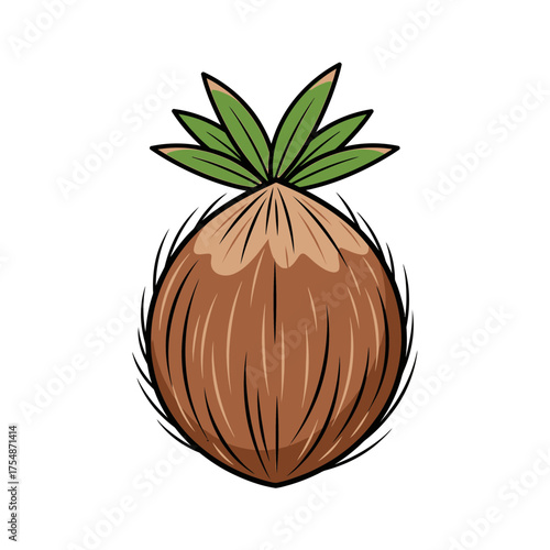 Illustration of a coconut fruit with green fronds for dietary and culinary imagery