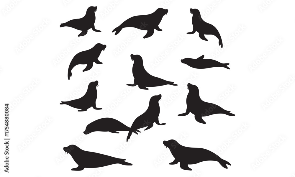Obraz premium Black Seal Silhouettes Collection