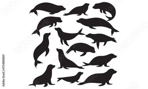 Black Seal Silhouettes Collection
