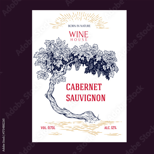 Hand drawn design template label, card, banner or poster for wine product in vintage engraving style. Vector illustration old grape vine tree or bush with text elements.