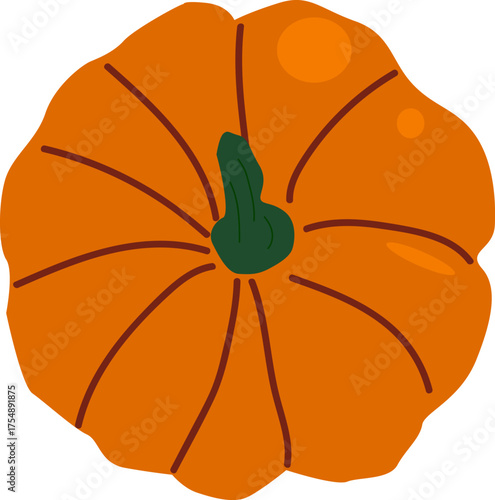 Pumpkin top view isolated. Vector