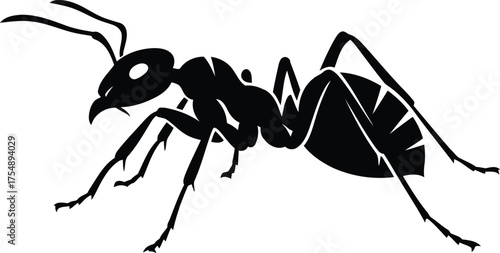 Silhouette of a black ant isolated on vector