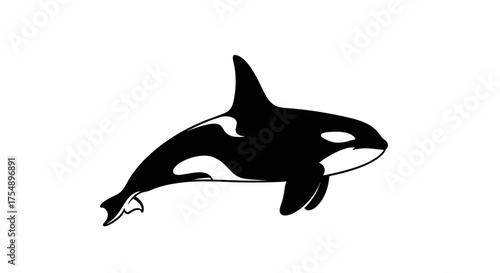 A simple black and white illustration of an orca whale.