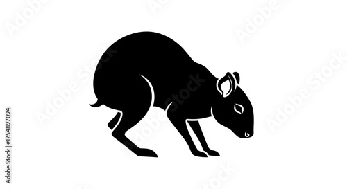 Agouti Silhouette A Detailed Illustration of a Rodent.