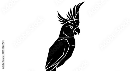 Black and White Cockatoo Illustration with Crest.