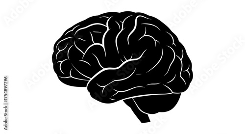 Black and White Brain Illustration for Medical Purposes.