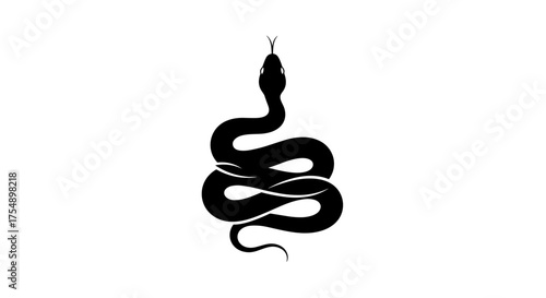 Black snake silhouette on white background coiled and ready.