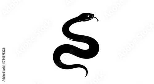 Black Snake Silhouette with Tongue Out on White Background.