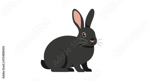 Cute black rabbit with long ears sitting on a white background.