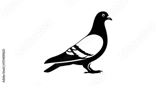 Elegant pigeon silhouette against a pristine white background detailed.