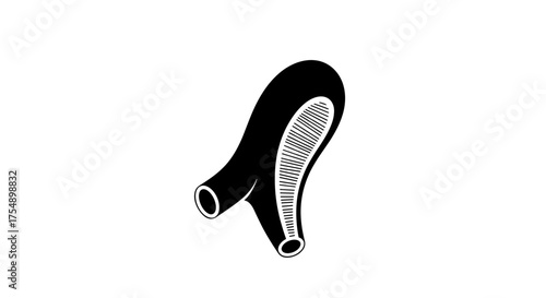 Hand drawn illustration of small intestine villus cross section.