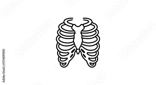 Human rib cage skeleton line art vector illustration.