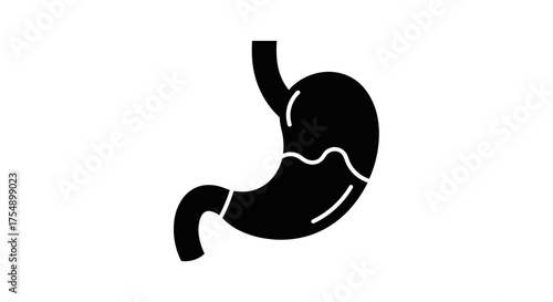 Human Stomach Organ Black Silhouette Vector Illustration.