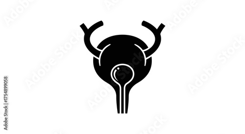 Human urinary bladder solid glyph icon for medical design.