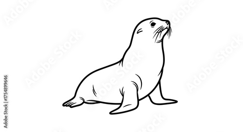 Minimalist black line drawing of a sitting sea lion.