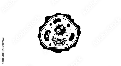 Monochrome scientific diagram of an animal cell structure.