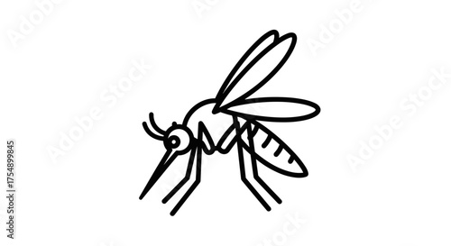 Mosquito Illustration Black and White Vector Drawing.
