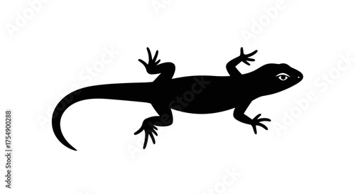 Silhouette of a Lizard on a White Background.